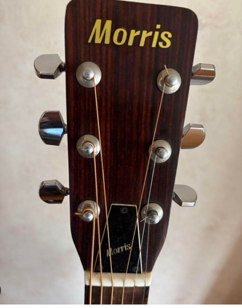 Morris F-18 アコースティックギター