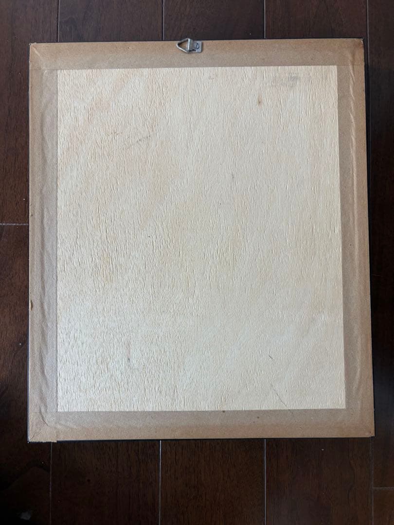 久田♡蝶の標本 12種 フレーム入り