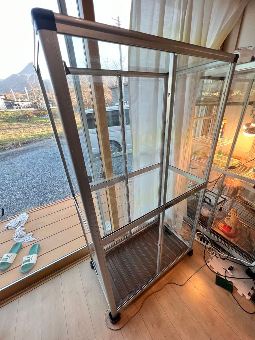 ガラス温室　昭和アルミブルーリボン　ネオラック　引き取り限定　埼玉