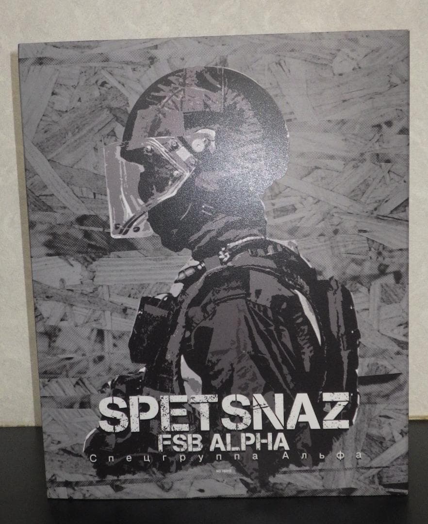 DAMTOYS　SPETSNAZ　FSB ALPHA GROUP　78015