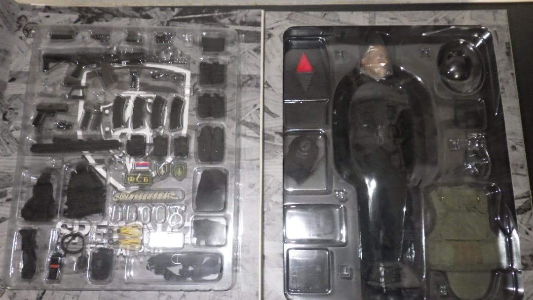 DAMTOYS　SPETSNAZ　FSB ALPHA GROUP　78015