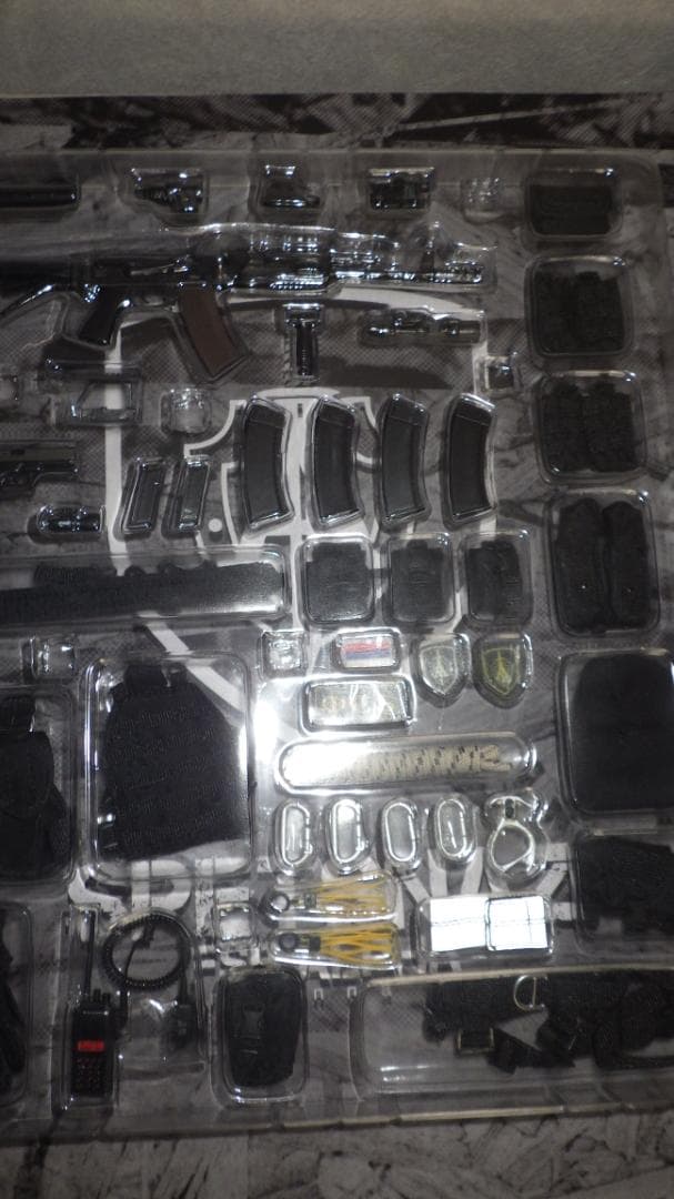 DAMTOYS　SPETSNAZ　FSB ALPHA GROUP　78015