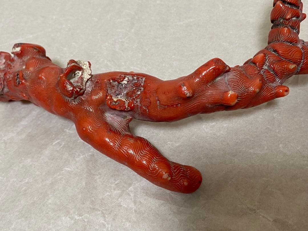 赤珊瑚　原木　天然　約410g