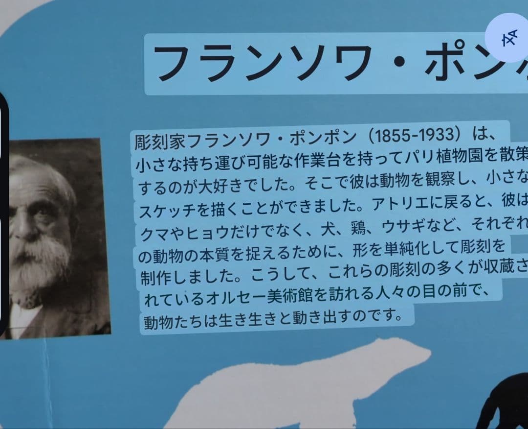 新品オルセー美術館　ポンポン　木製おもちゃ　シロクマ　パリ　お土産　シロクマ