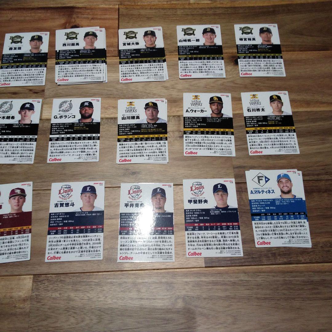 2024プロ野球カードホルダー 48枚収納 103種類159枚 まとめ売り