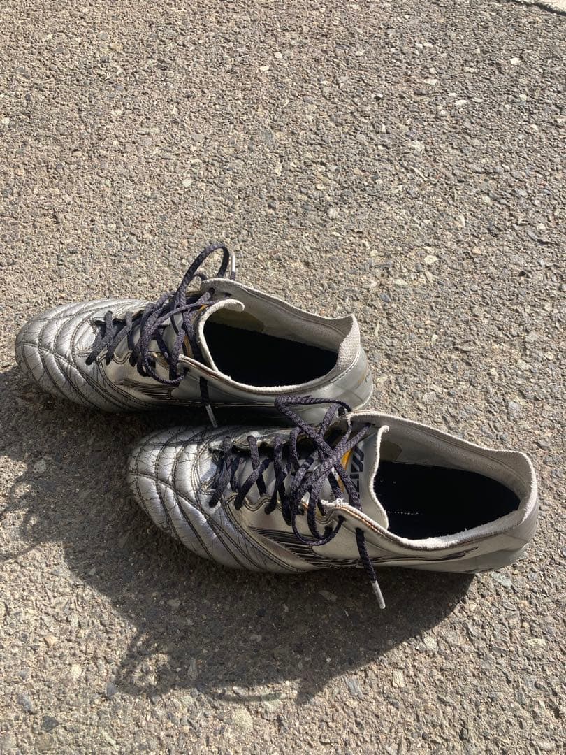 モレリアネオ　　26.0