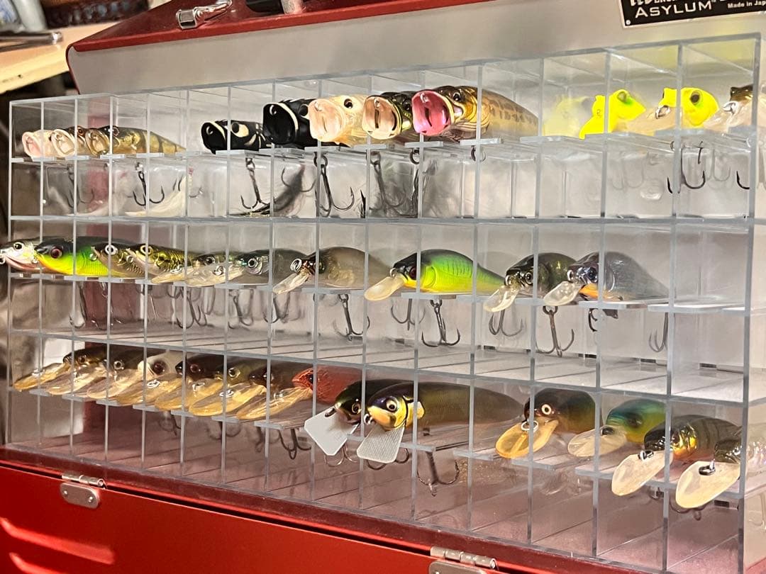 メガバス　アサイラム&ルアーセット