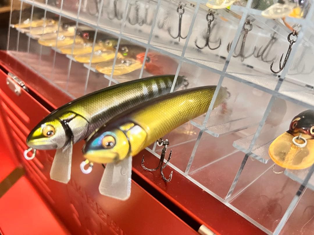 メガバス　アサイラム&ルアーセット