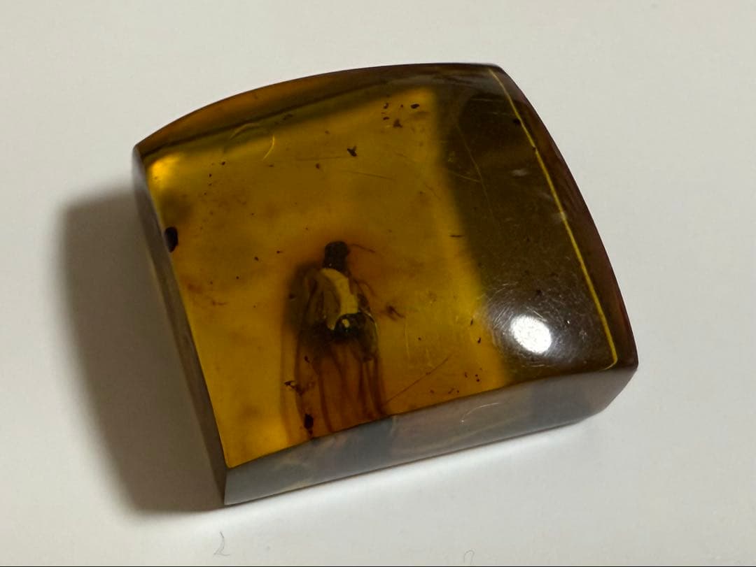 新品未使用 バルティックアンバー 虫入り琥珀 スクエア ルース 2/2