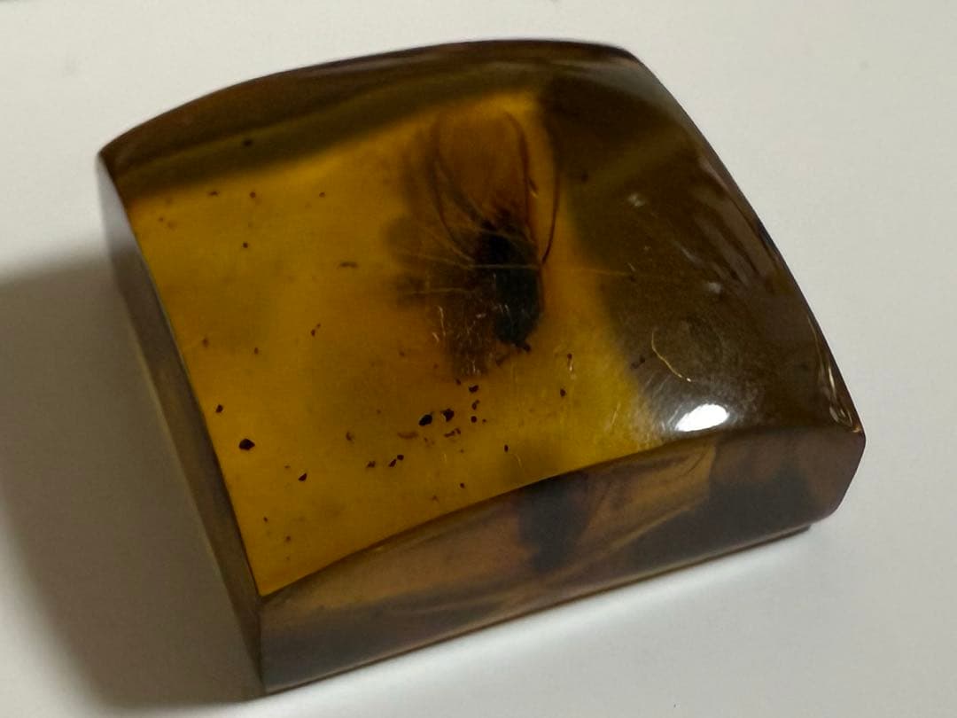 新品未使用 バルティックアンバー 虫入り琥珀 スクエア ルース 2/2