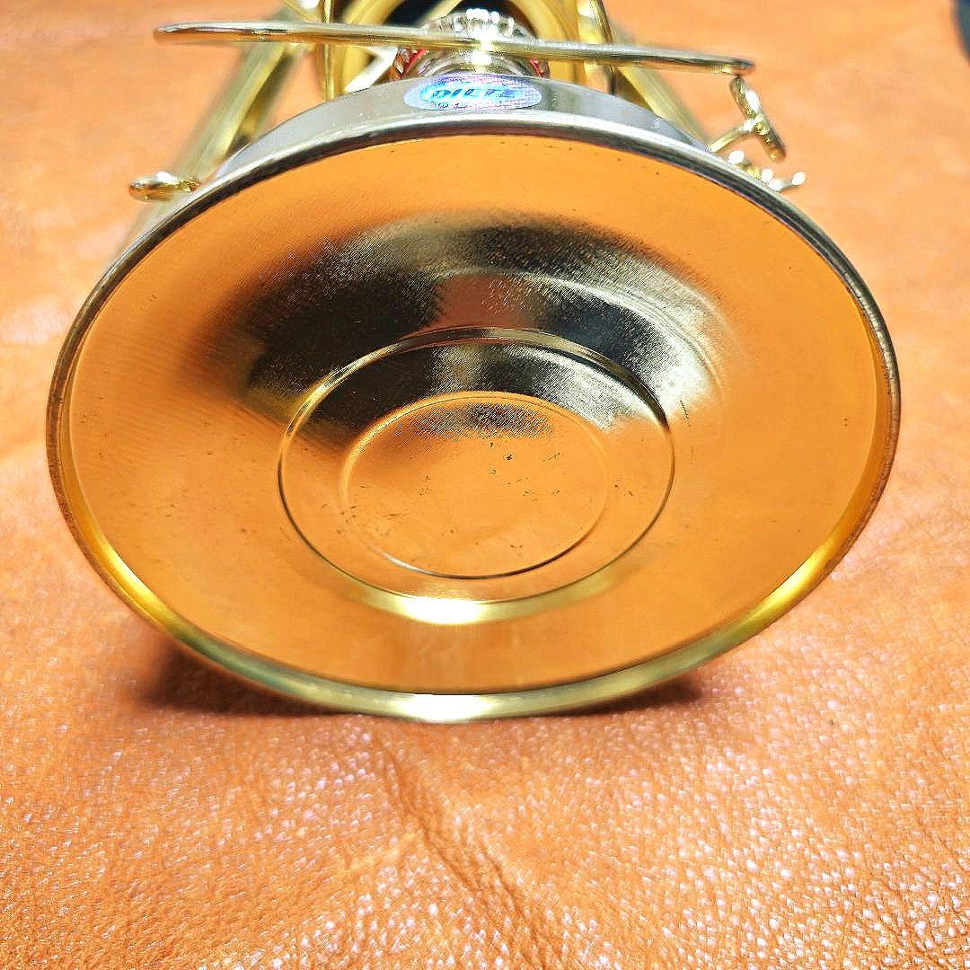 iwatadenki 限定グリーンホヤ　デイツランタン78　その他ホヤ