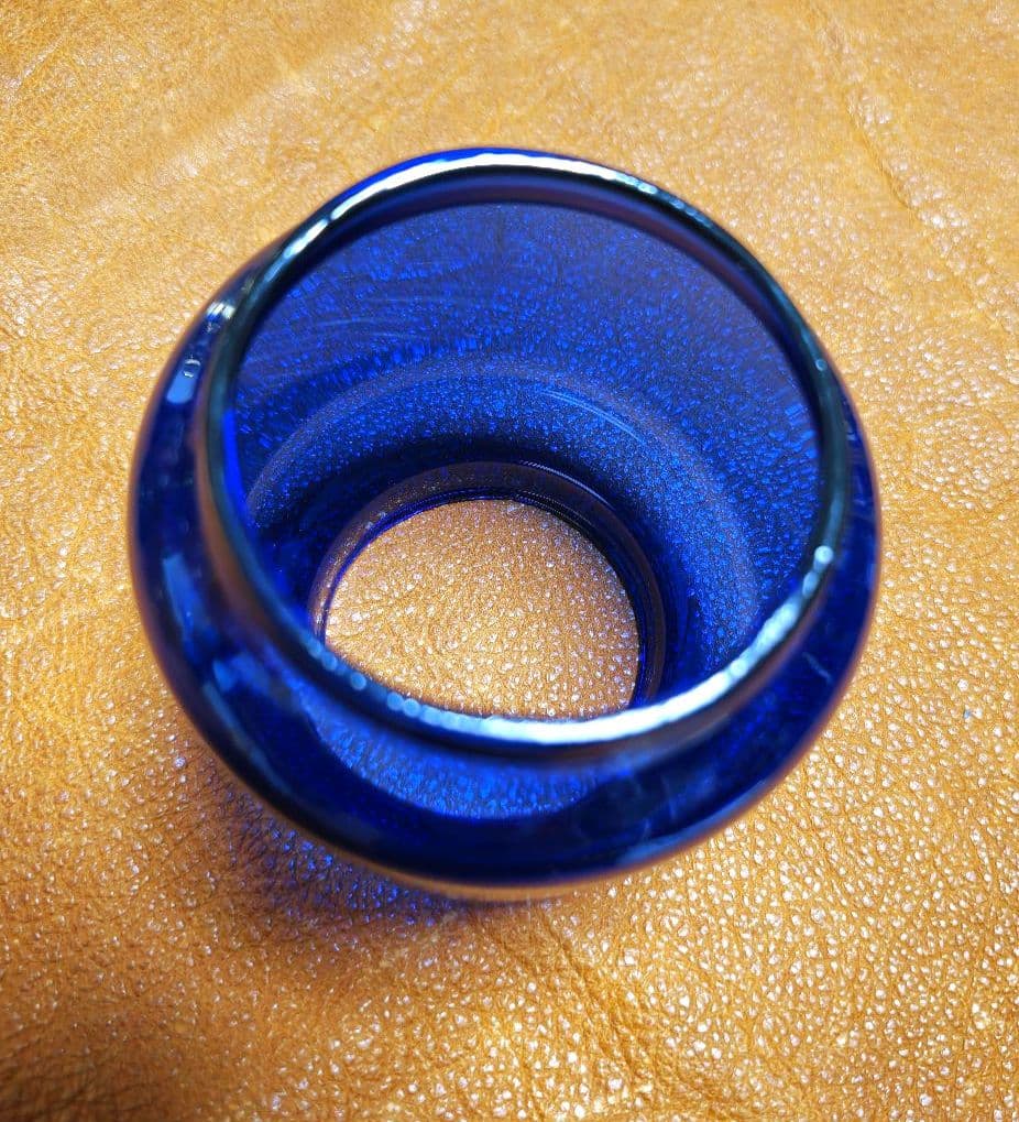 iwatadenki 限定グリーンホヤ　デイツランタン78　その他ホヤ