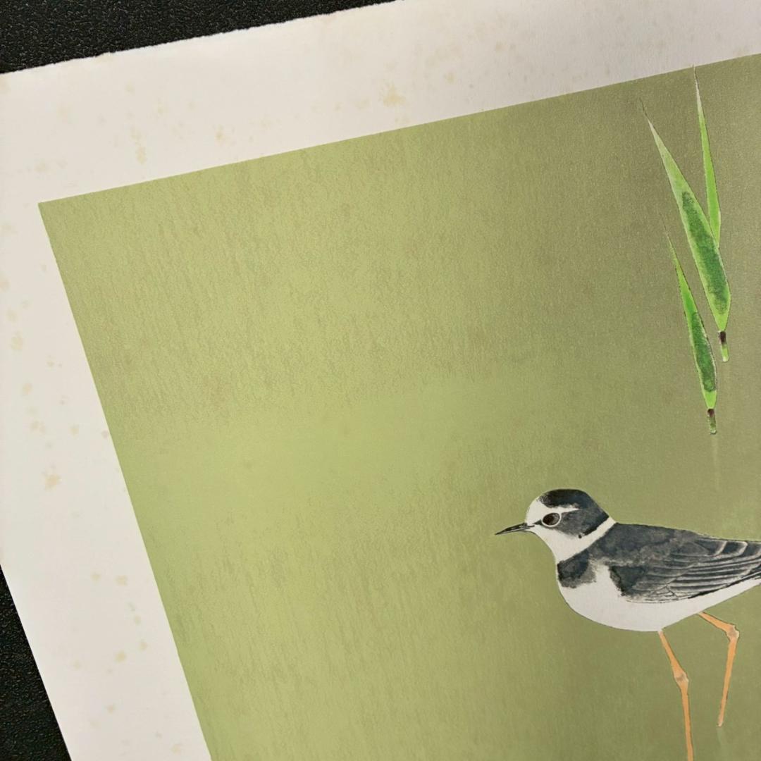 上村淳之「春汀」リトグラフ 直筆サイン・印章・発行証有 古径額 上村松園 花鳥