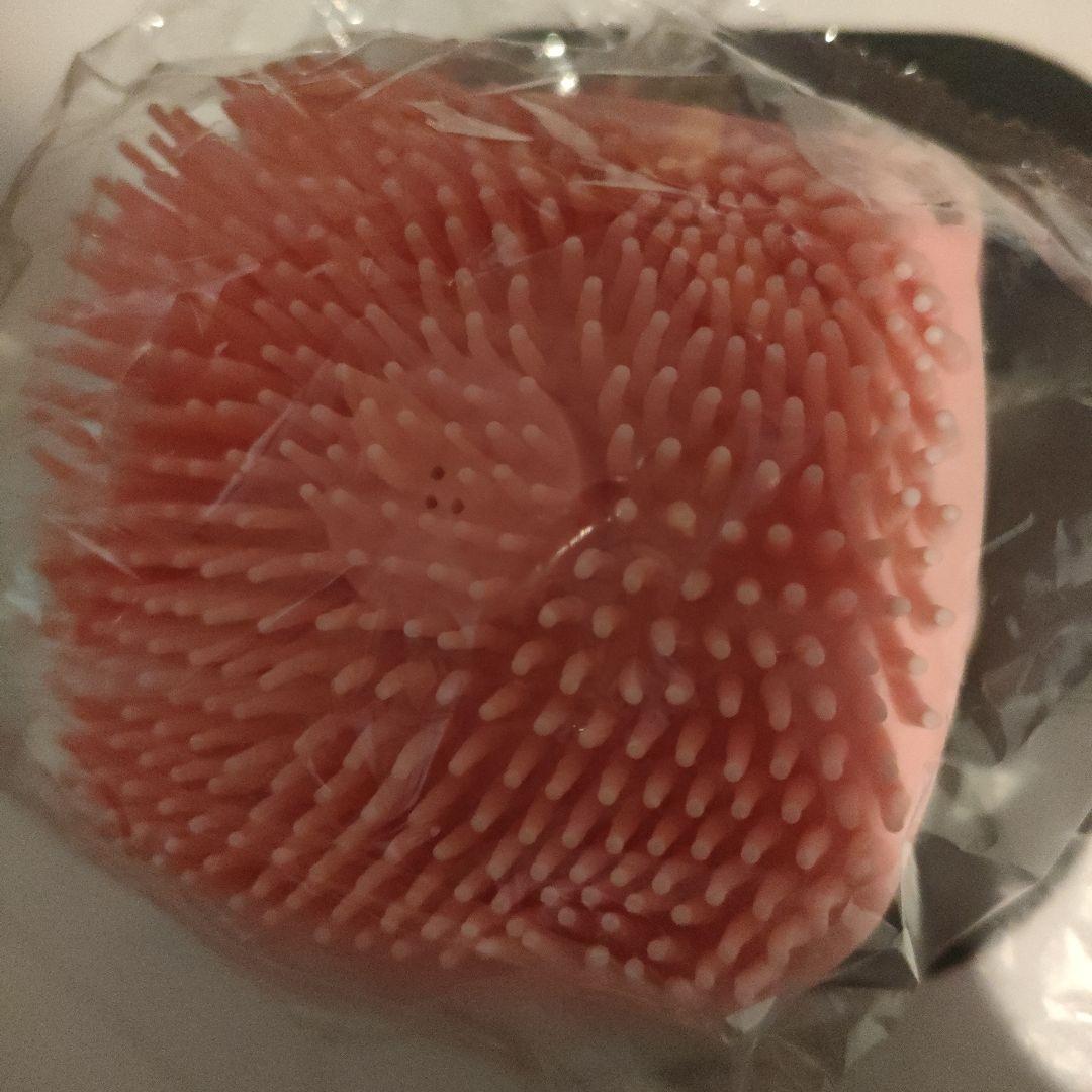 ペットドライヤー ペット乾燥機 ドライヤーハウス 犬 猫 63L大容量 静音