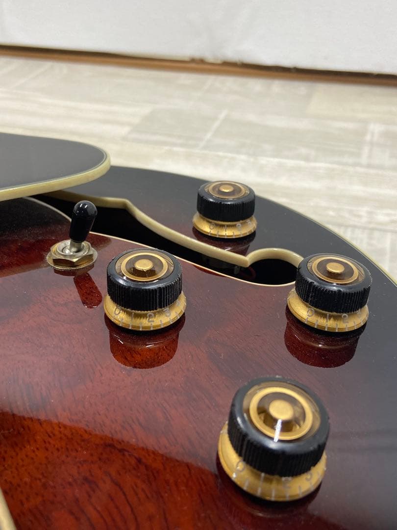 Ibanes フルアコースティックギター AG95QA-DBS