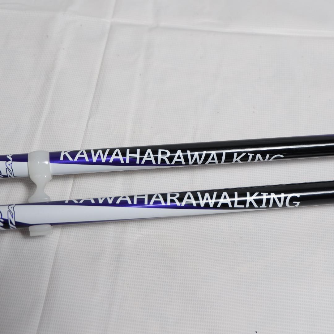 カワハラポール カワハラウォーキング パープル