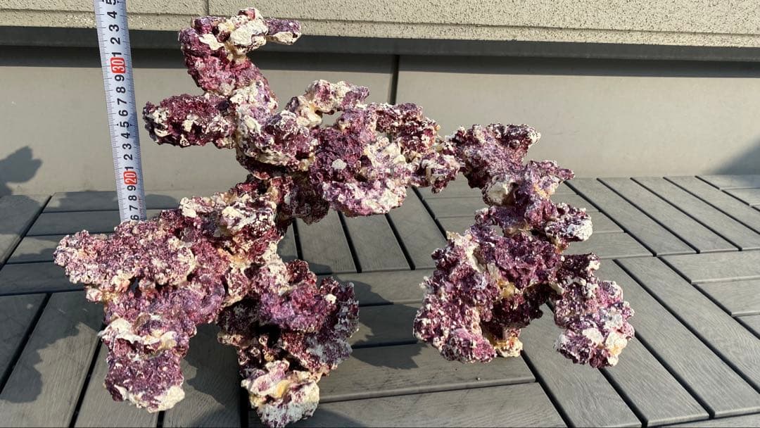 レイアウトロック　LSS レプリカライブロック　人工ライブロック