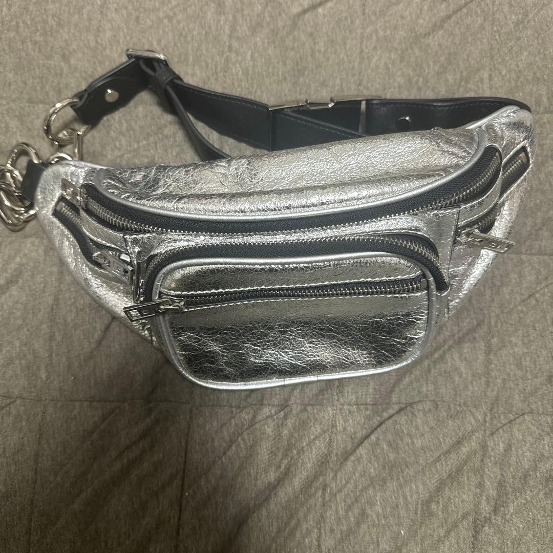 バッグ alexanderwang