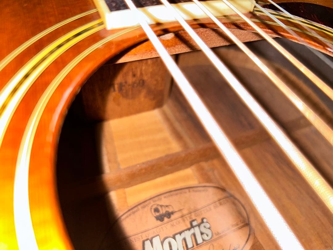 Morris TF-50アコースティックギター