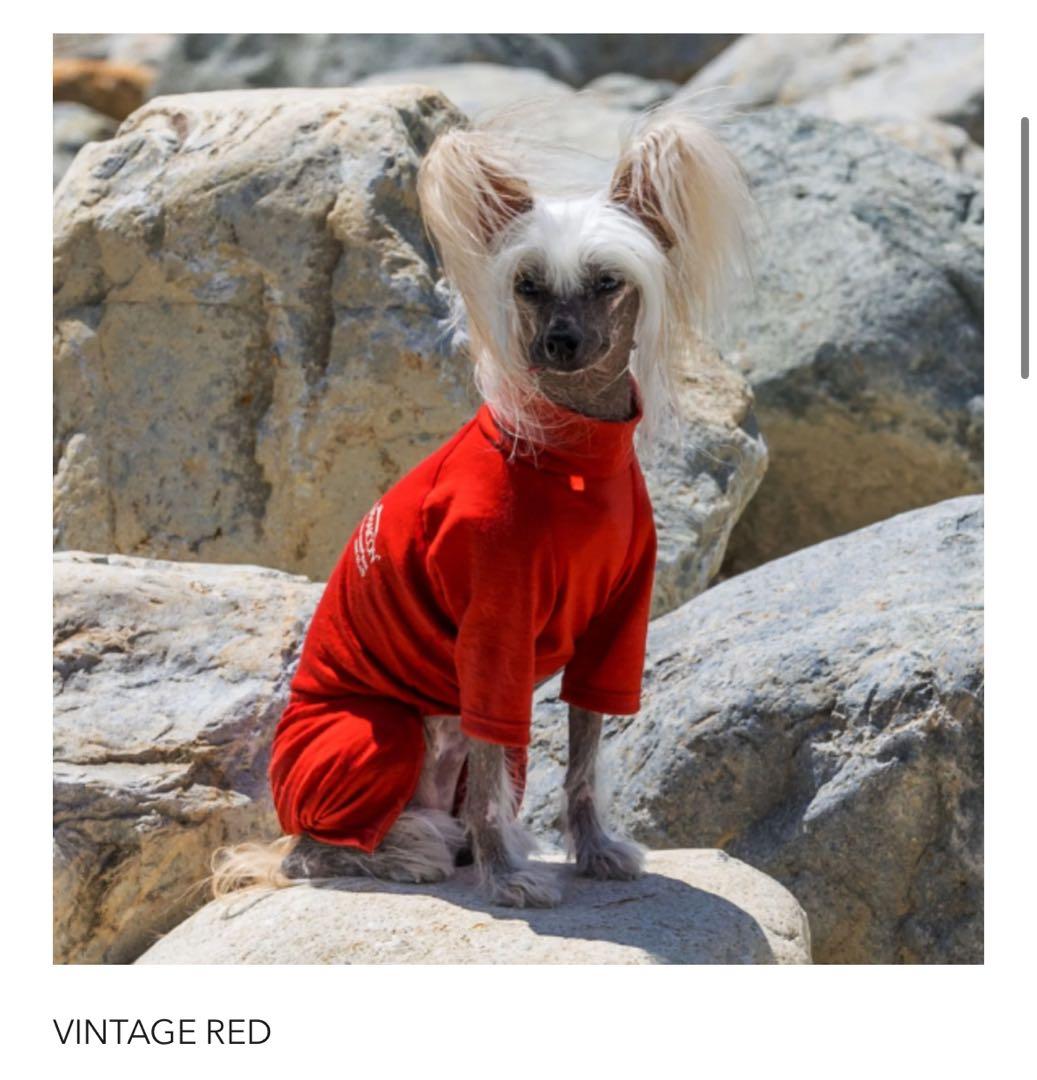 アルファアイコンドッグガードベース 2025年赤Sサイズ 新品未使用