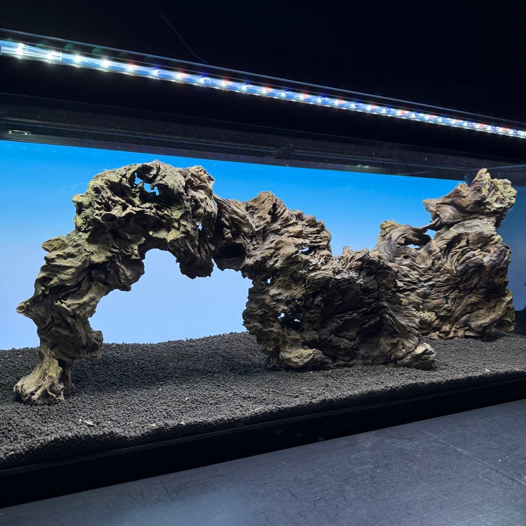 MJW-7236 「特大」ジンジャーウッド　90cm水槽用　天然流木3本セット