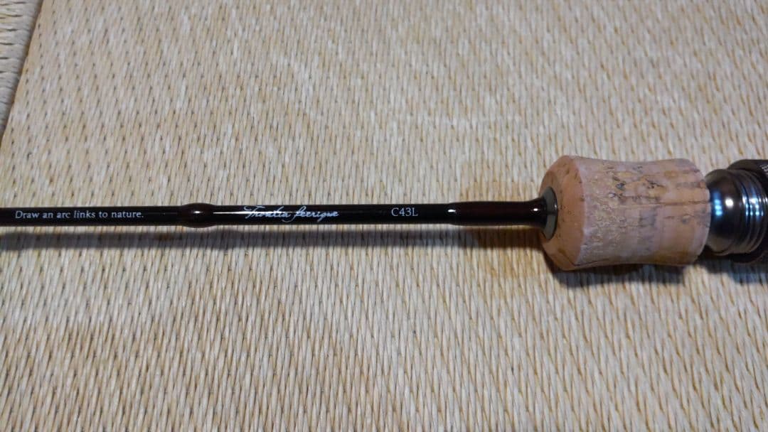 トラウティアフェリーク C43L