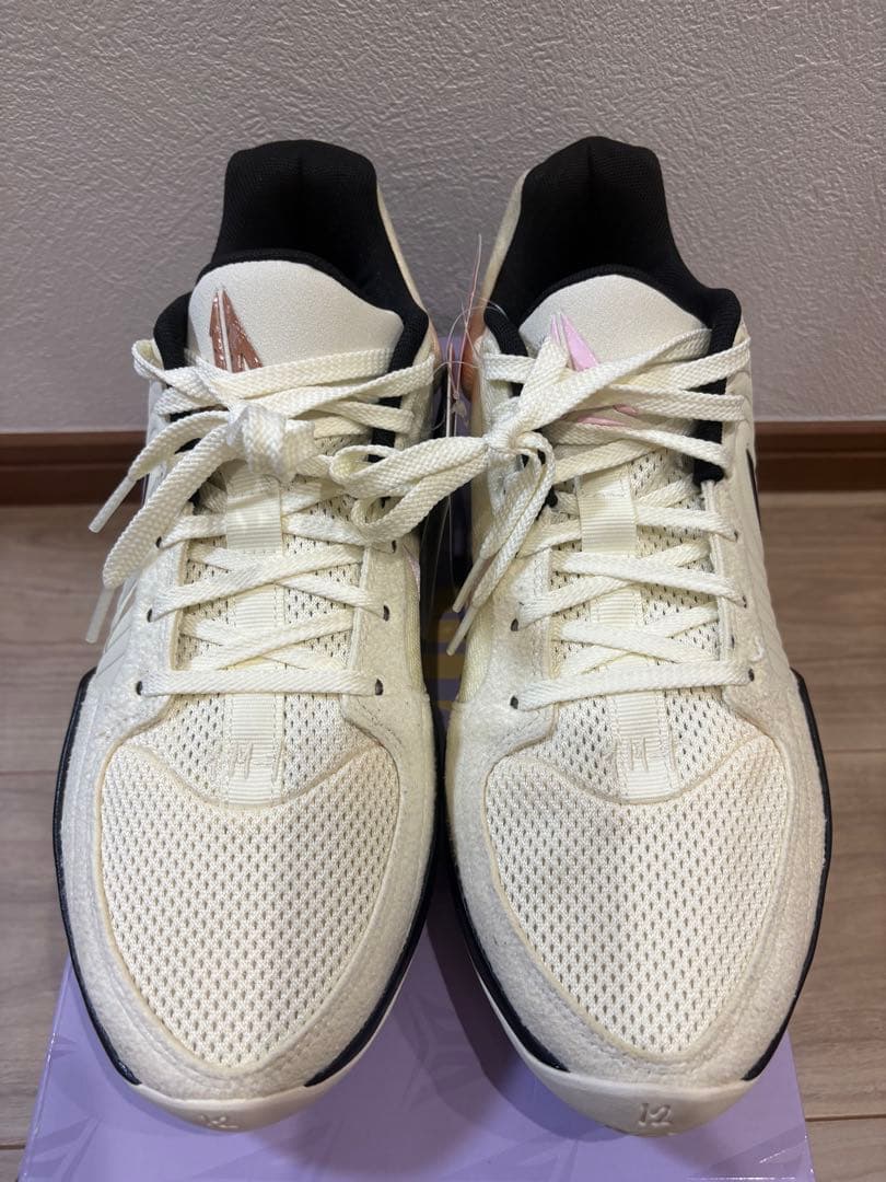 Nike ja2 EP バスケットボールシューズ ジャ2