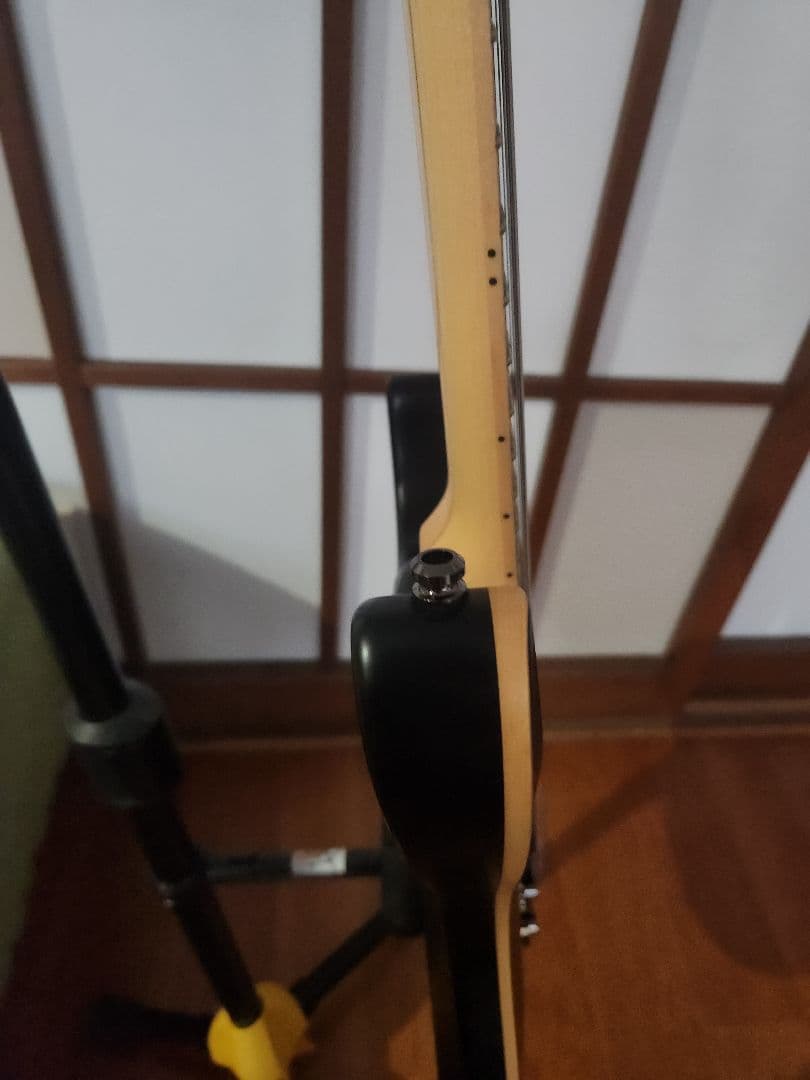 フジゲン Fujigen Expert Elan