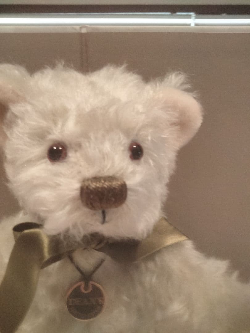 ディーンズdeans limited edition bear 271/1000