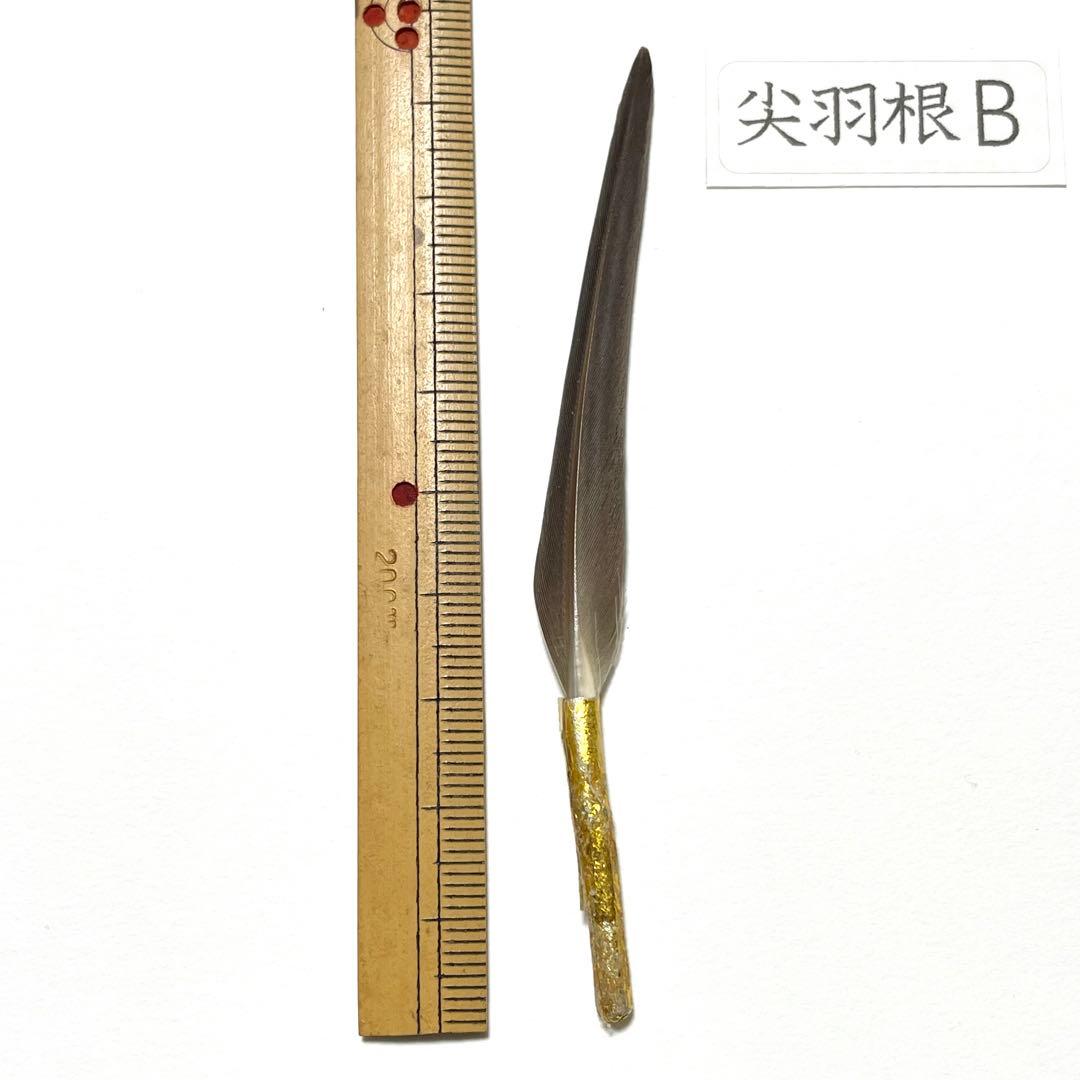 盆石道具 尖羽根 (B)