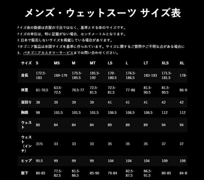【2024年11月新品】Patagoniaフルスーツ　バックジップ Lサイズ