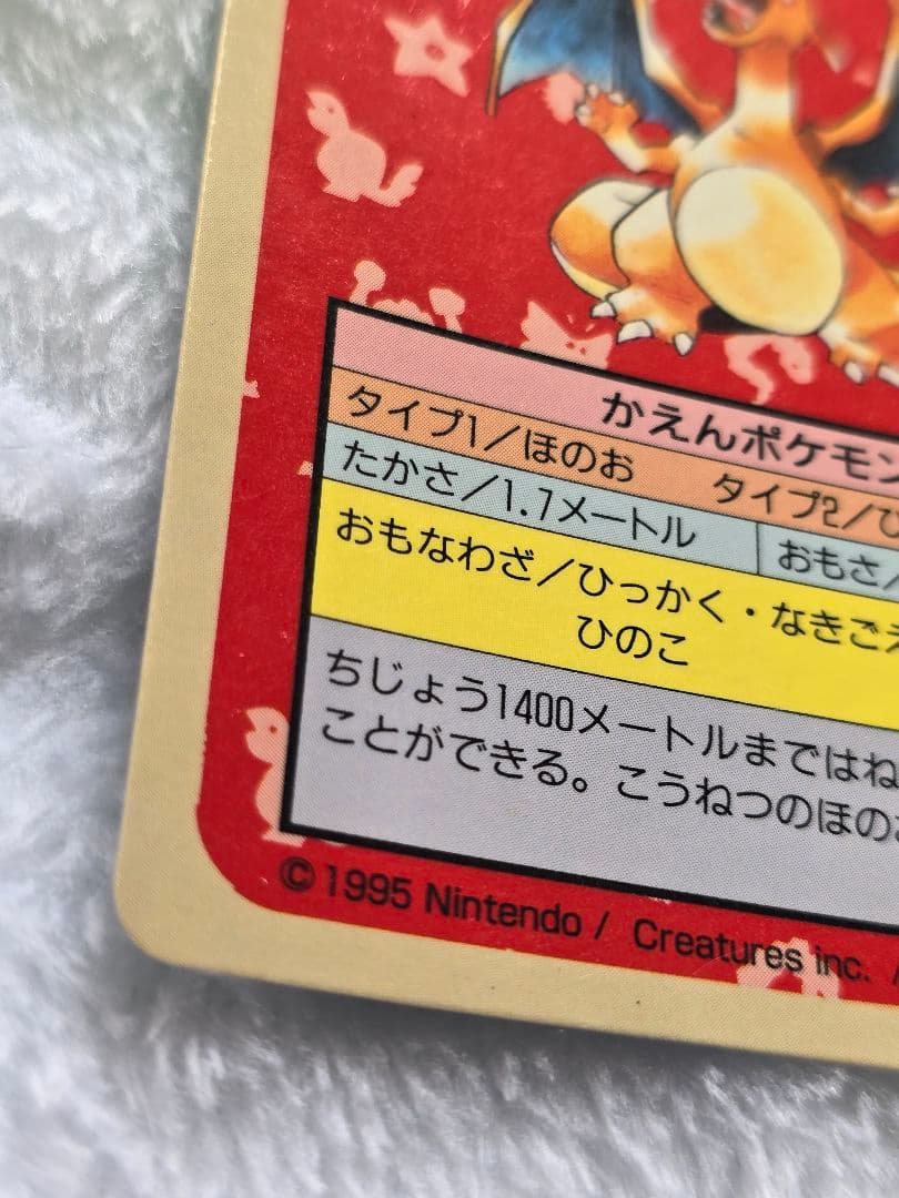 トップサン　リザードン「入札する前に必ず確認を」