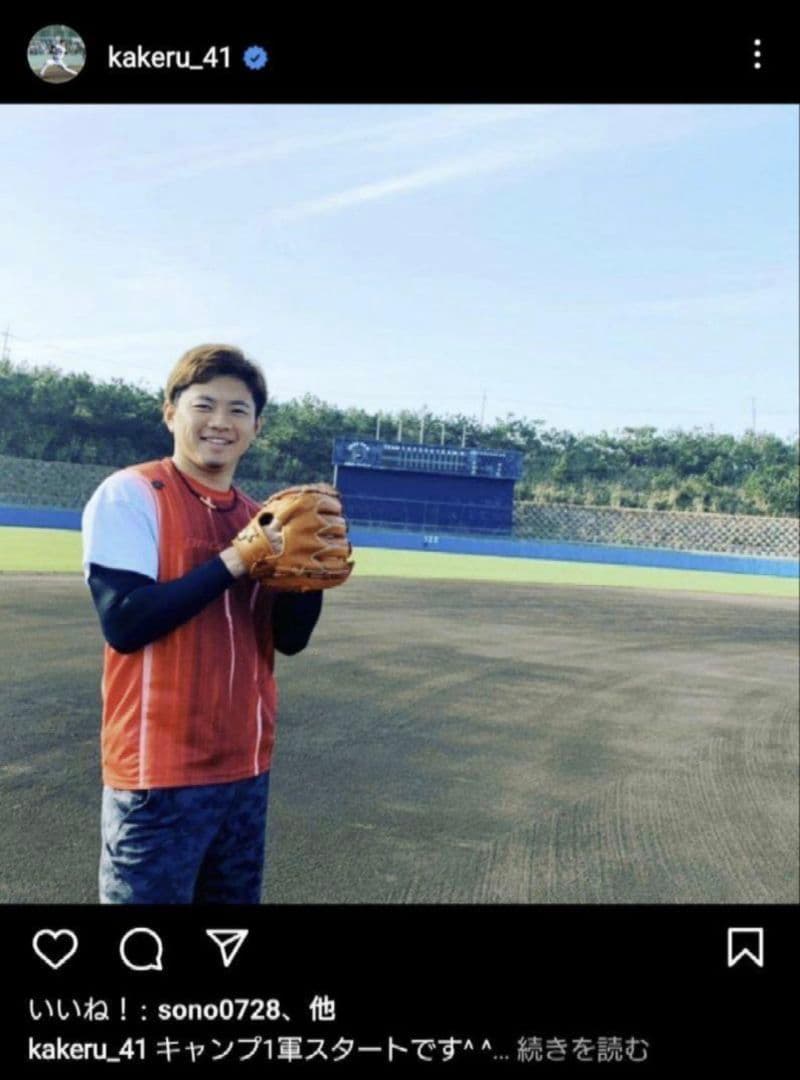 千葉ロッテマリーンズ 東京ヤクルトスワローズ 成田翔選手 プロ支給品 グラブ