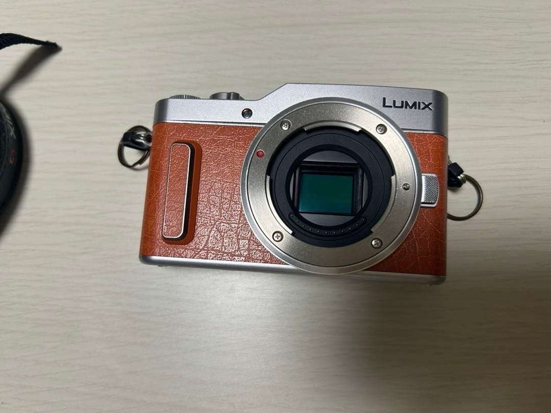 LUMIX DC-GF10 ※レンズなし