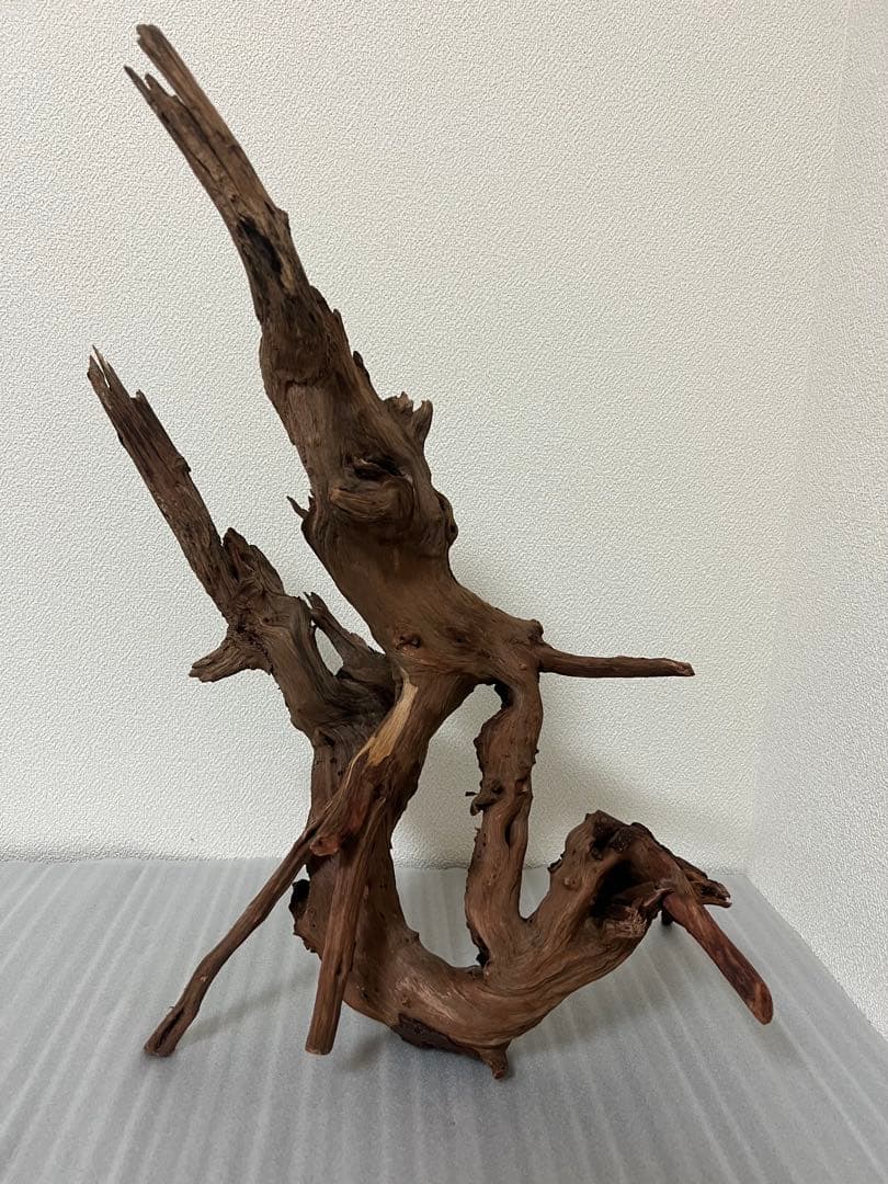 HX-076流木　ホーンウッド　マシンガンウッド　アクアリウム　ブランチウッド