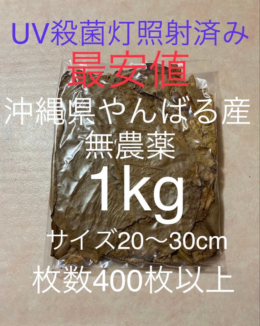 沖縄県やんばる産マジックリーフ 1kg UV殺菌灯照射済み②