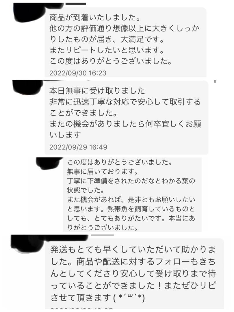 沖縄県やんばる産マジックリーフ 1kg UV殺菌灯照射済み②