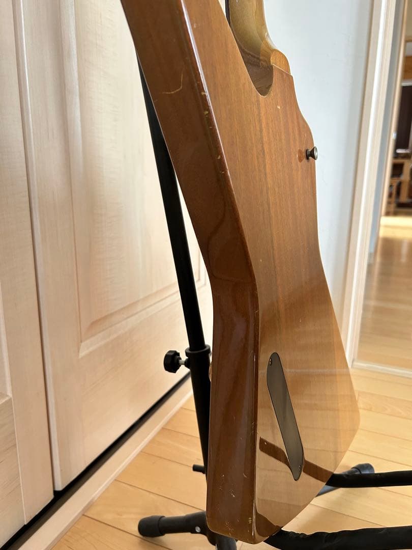 Orville by Gibson Explorer オービルバイギブソン寺田