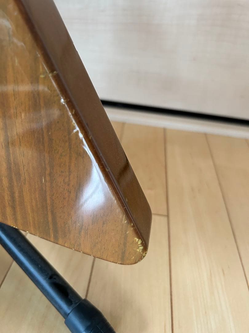 Orville by Gibson Explorer オービルバイギブソン寺田