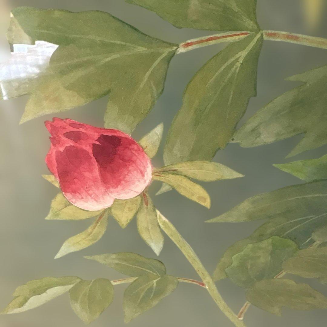 絵画　牡丹　　⚠️素人画