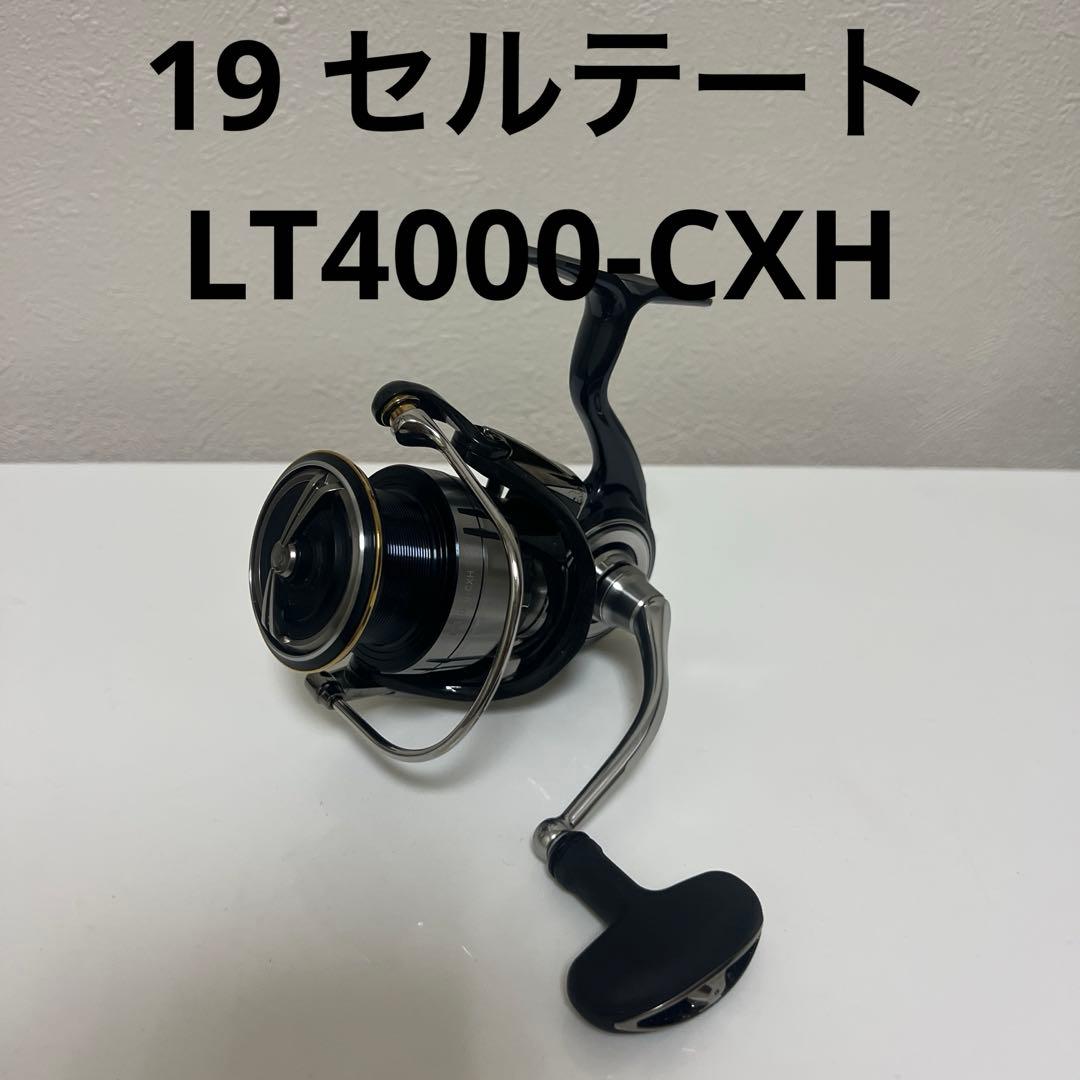 ク*チ様 ダイワ 19 セルテート LT4000 CXH ルビアス フィッシュマ