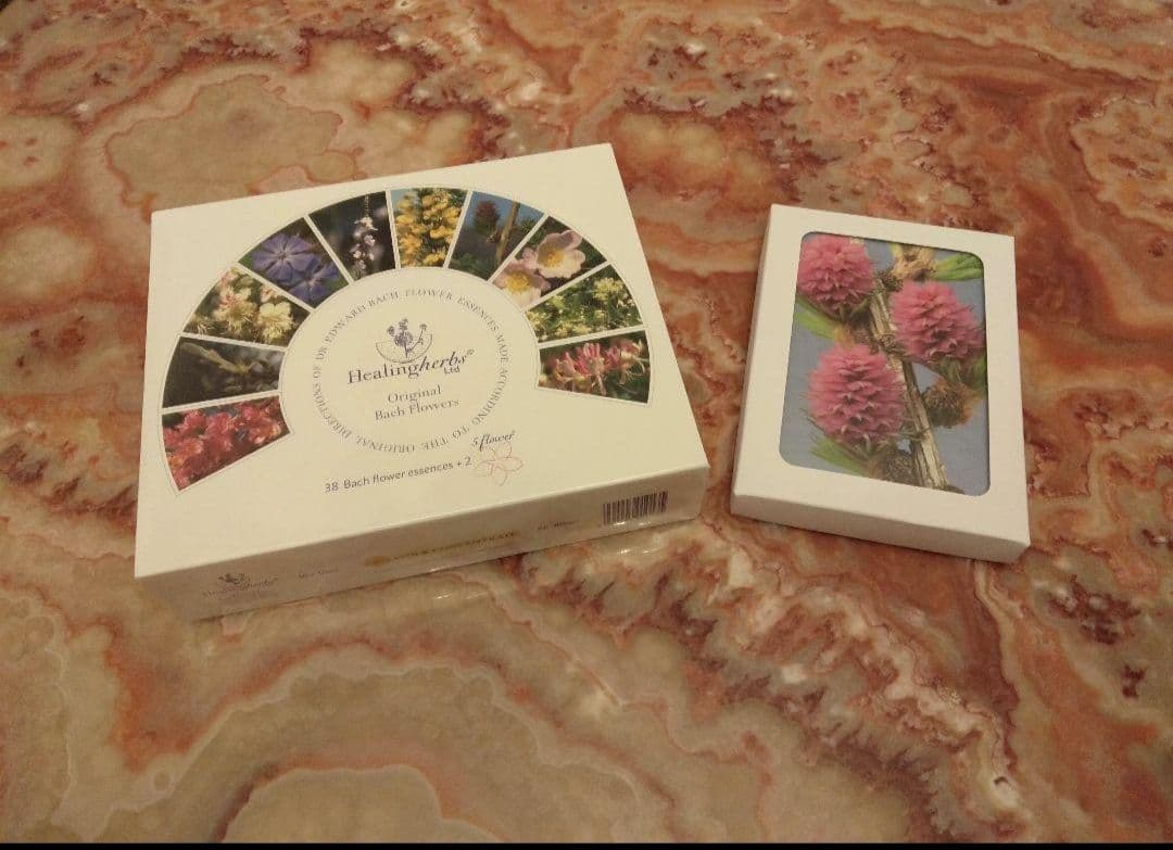 kazunoページ■52000+16700=68700ヒーリングハーブス社