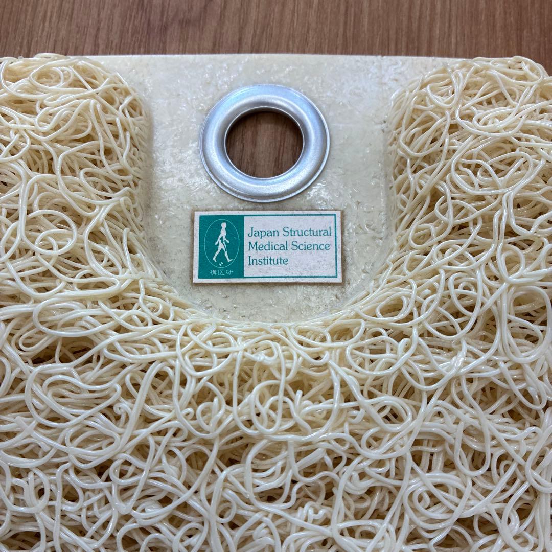 構造医学　座板　コクシックスブレスエアー