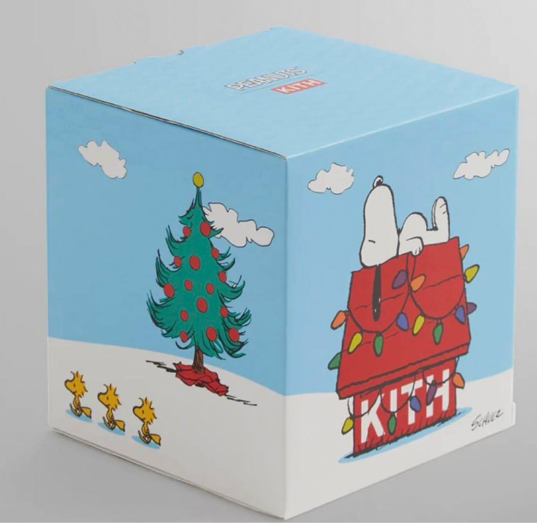 新品 Kith Snoopy House  Globe スノードーム