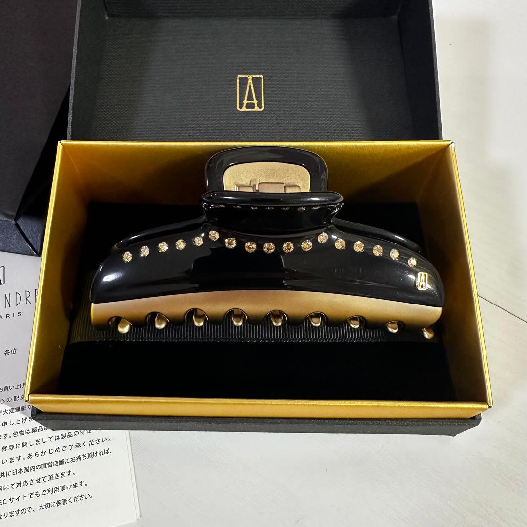 ALEXANDRE DE PARIS ヴァンドーム　L サイズ　ヘアクリップ