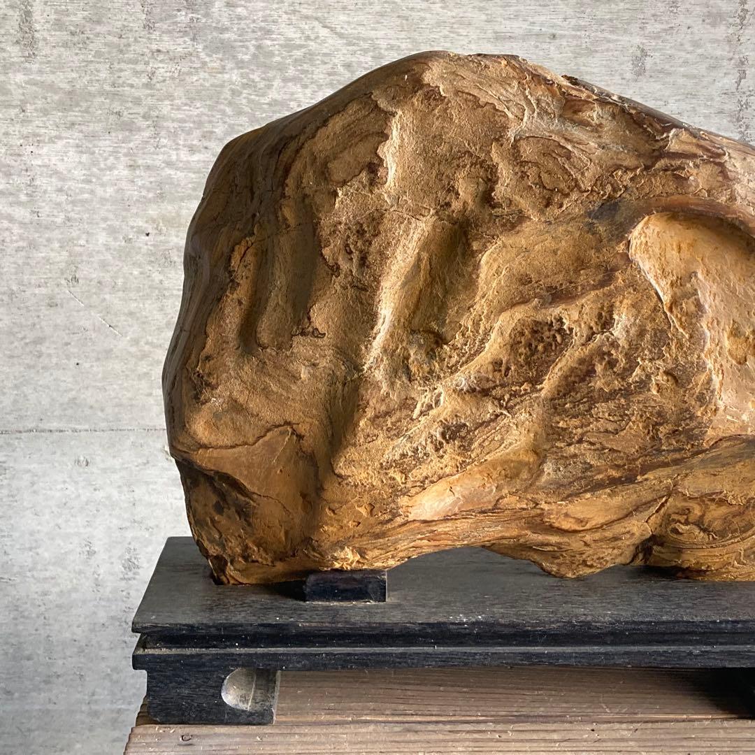木化石 珪化木 天然 大型 置物 オブジェ 花器 フラワーベース 台座付 レトロ