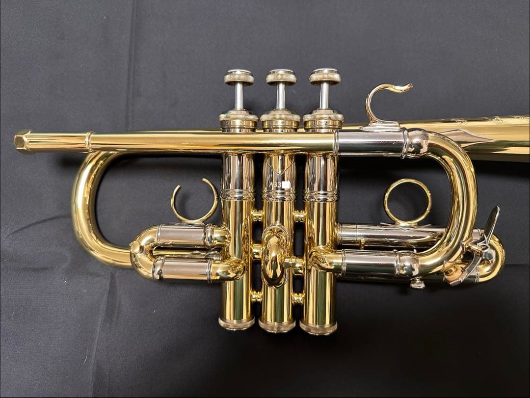 V.BachアルティザンE♭管 AE190GL 長谷川智之氏選定品 [中古]