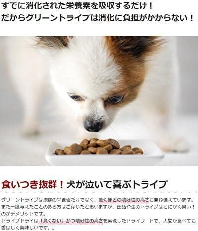 残り4個【新品・2個set】グリーントライプ＆バイソン 2.72kg ドライ