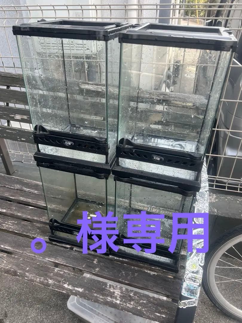 グラステラリウムナノ　4つ　おまけ付き　引き取り限定