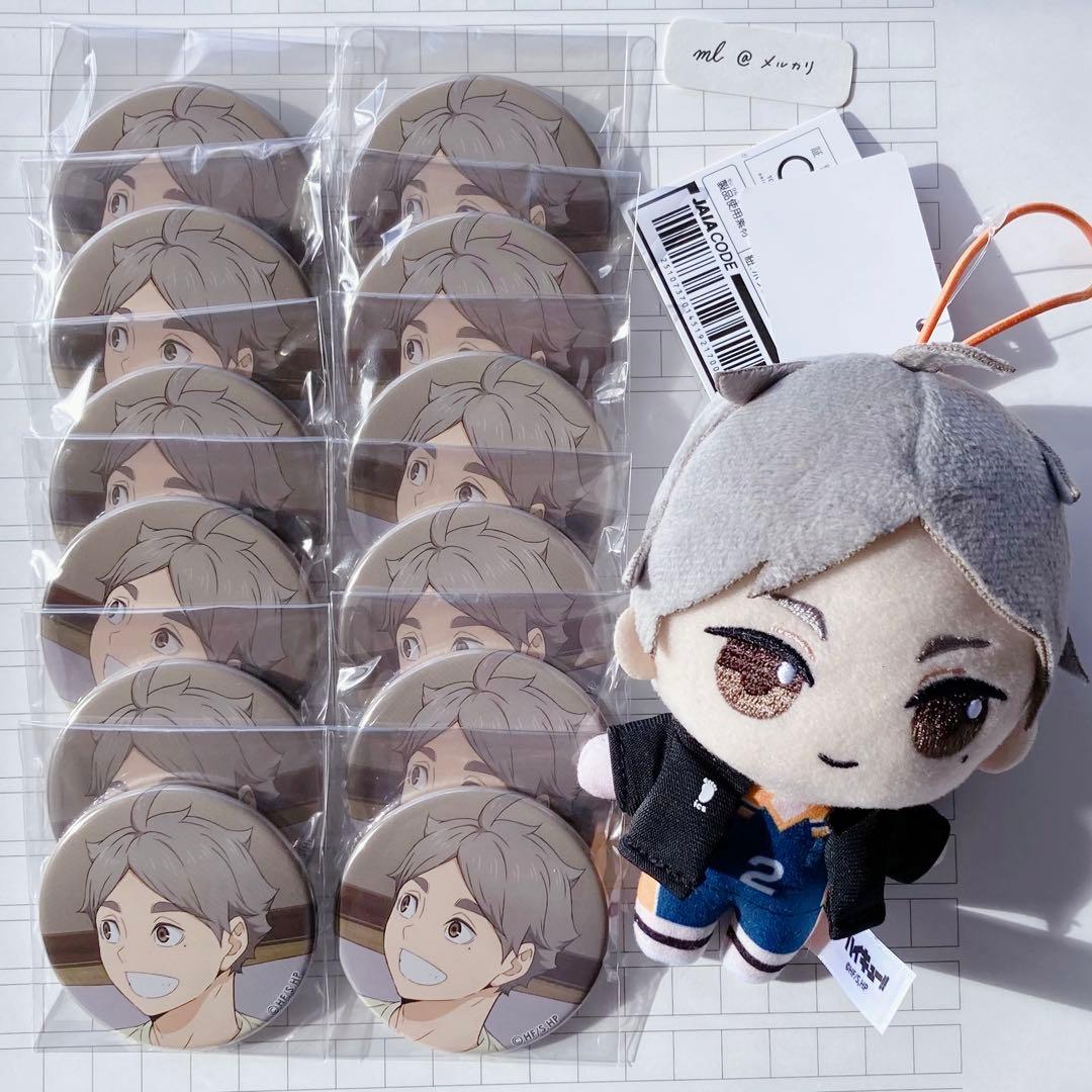 ハイキュー 菅原孝支 ぬいぐるみ 缶バッジ セット